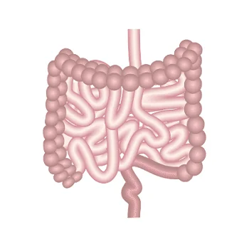 Effect of Artificial sweeteners on Crohn's disease patients
